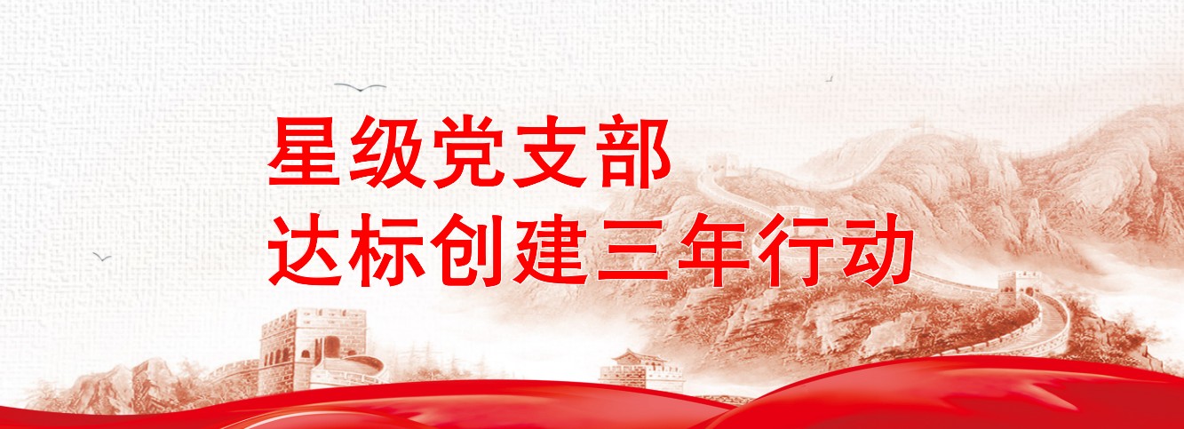 星级党支部达标创建三年行动